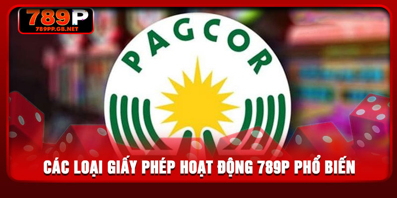 Các loại giấy phép hoạt động 789P phổ biến